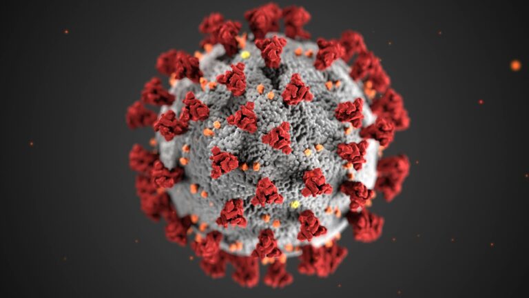 imagem com cores imaginarias de uma uma célula de coronavírus
